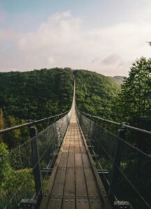 A scenic view of the Geierlay Bridge in Mörsdorf, Germany amidst a lush forest.